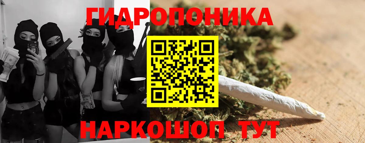 Бошки Шишки MAZAR Миллерово
